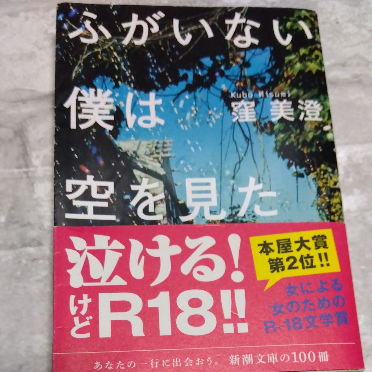 ふがいない僕は空を見た （新潮文庫　く－４４－１） 窪美澄／著