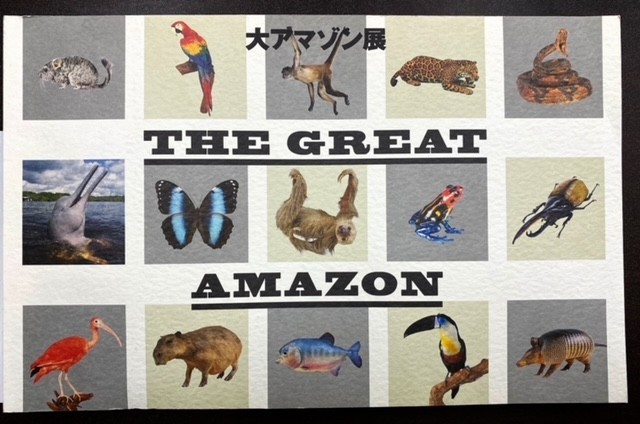 大アマゾン展 公式ガイドブック THE GREAT AMAZON 国立科学博物館 生物 生き物 図鑑 化石 自然 歴史 図録 写真 本 帯付き_画像3