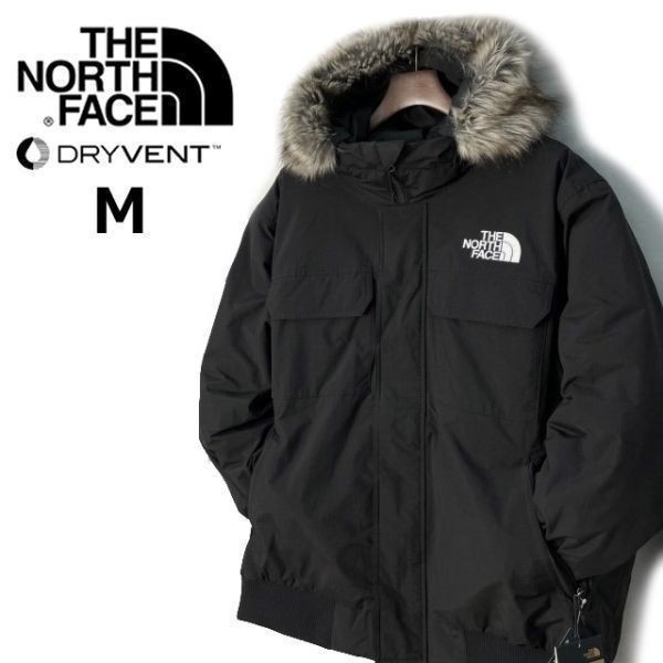 1円～!売切!【正規新品】THE NORTH FACE◆MCMURDO BOMBER JACKET◆マクマードボンバー ダウンジャケット US限定 新作 撥水(M)黒 190122-175_画像3