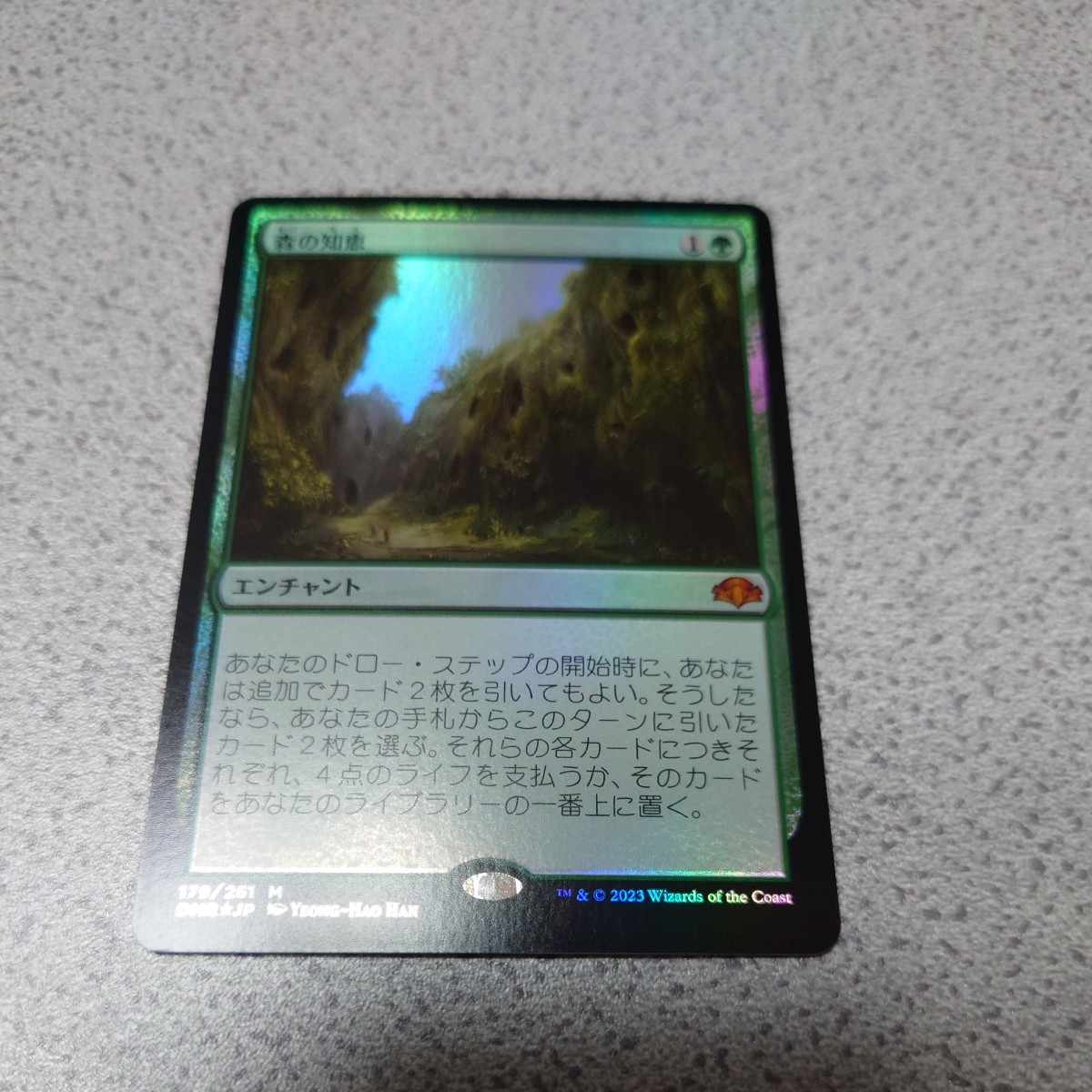 MTG DMR 森の知恵 日本語foil 一枚 ドラフトブースター版 ベルギー製 即決_画像1