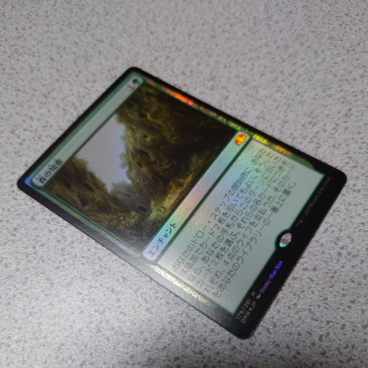 MTG DMR 森の知恵 日本語foil 一枚 ドラフトブースター版 ベルギー製 即決_画像2