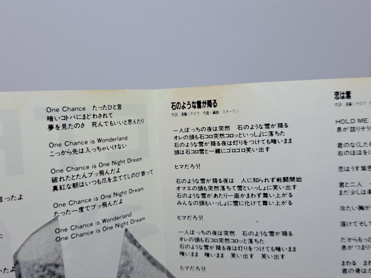 CD スターリン STALIN 1989年 遠藤ミチロウ_画像5
