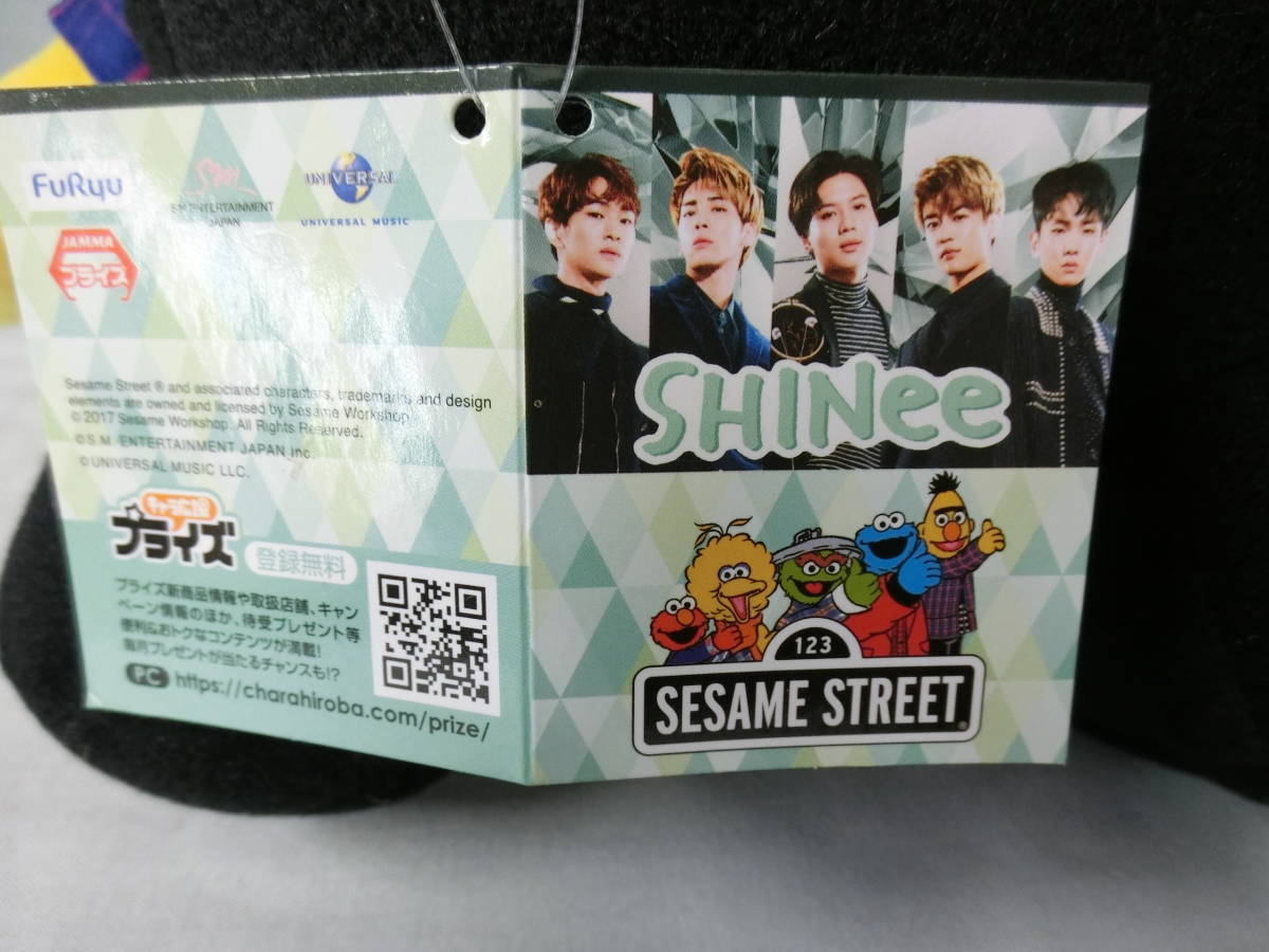 【紙タグ付き】SHINee　SESAME STREET　お座りBIGぬいぐるみ　KEY(キー)　Bert(バート) 　高さ：約36cm　シャイニー　セサミストリート