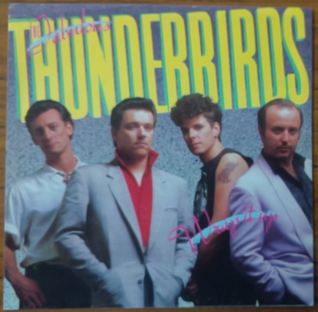 輸入盤ジャケットのみ : ファビュラス・サンダーバーズ The Fabulous Thunderbirds / ピクチャースリーヴ3種（レコードは付いていません。)の画像4