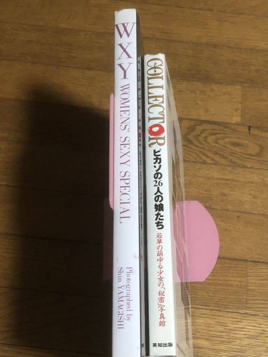 山岸伸WXY 、Drピカソの26人写真集　細川ふみえ、飯島愛、飯島直子、水谷ケイ、他37人　ヌード・ヘアーあり_画像3