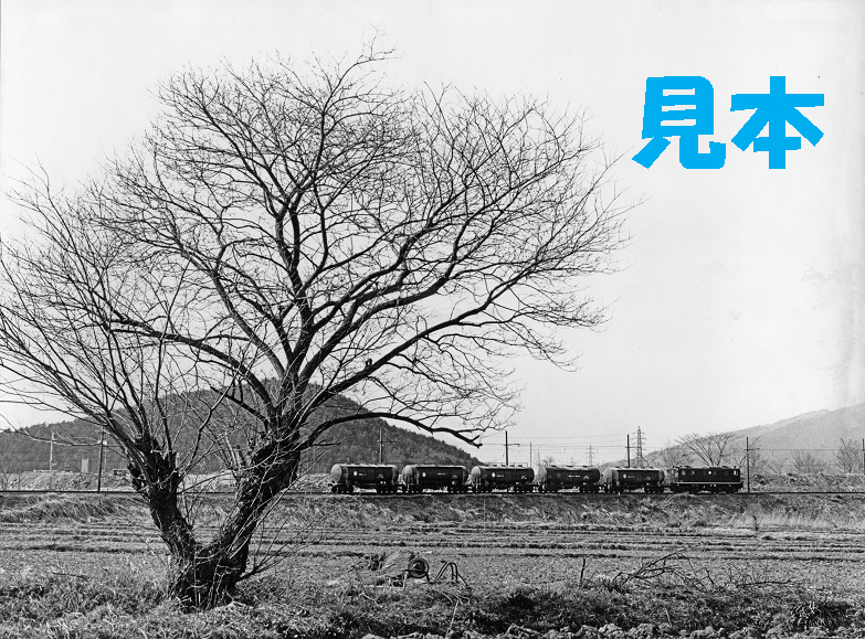 大阪セメント専用線（伊吹山を背景に）昔のモノクロ画像・CDデーター画像_画像3