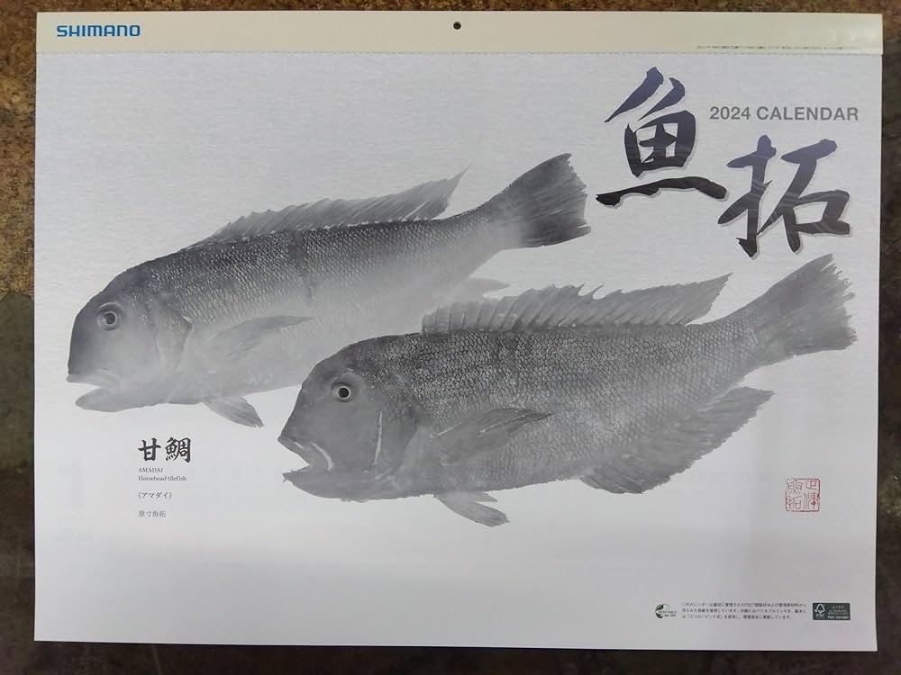 ★シマノ 魚拓　壁掛け　カレンダー　2024年　令和6年　店名入り　釣り★_画像1