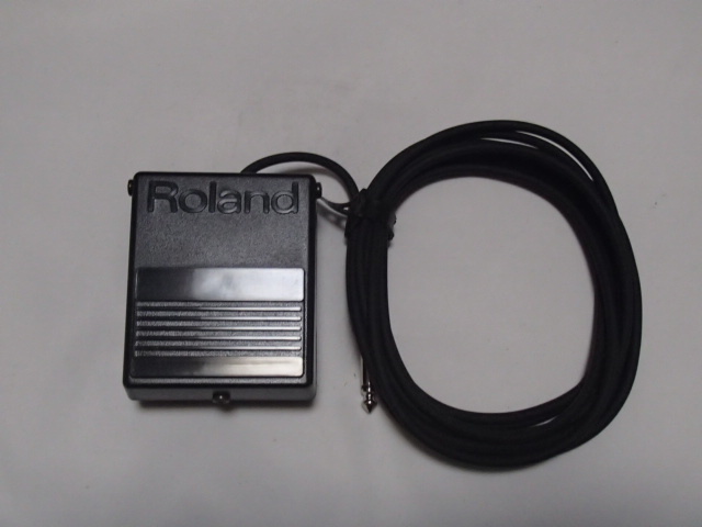 Roland Pedal Switch/DP-2の画像3