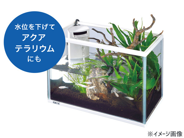 GEX サイレントフィットアルファ300 熱帯魚 観賞魚用品 水槽 セット水槽 ジェックス_画像5