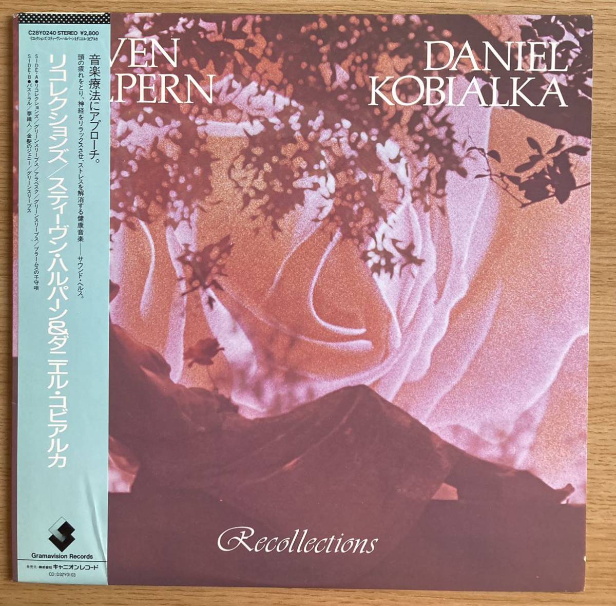 LPレコード スティーヴン・ハルパーン & ダニエル・コビアルカ　『リコレクションズ』　音楽療法　リラックス