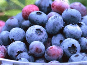  jam ( handmade jam ) blueberry jam 200g low sugar times, no addition, preservation charge none 