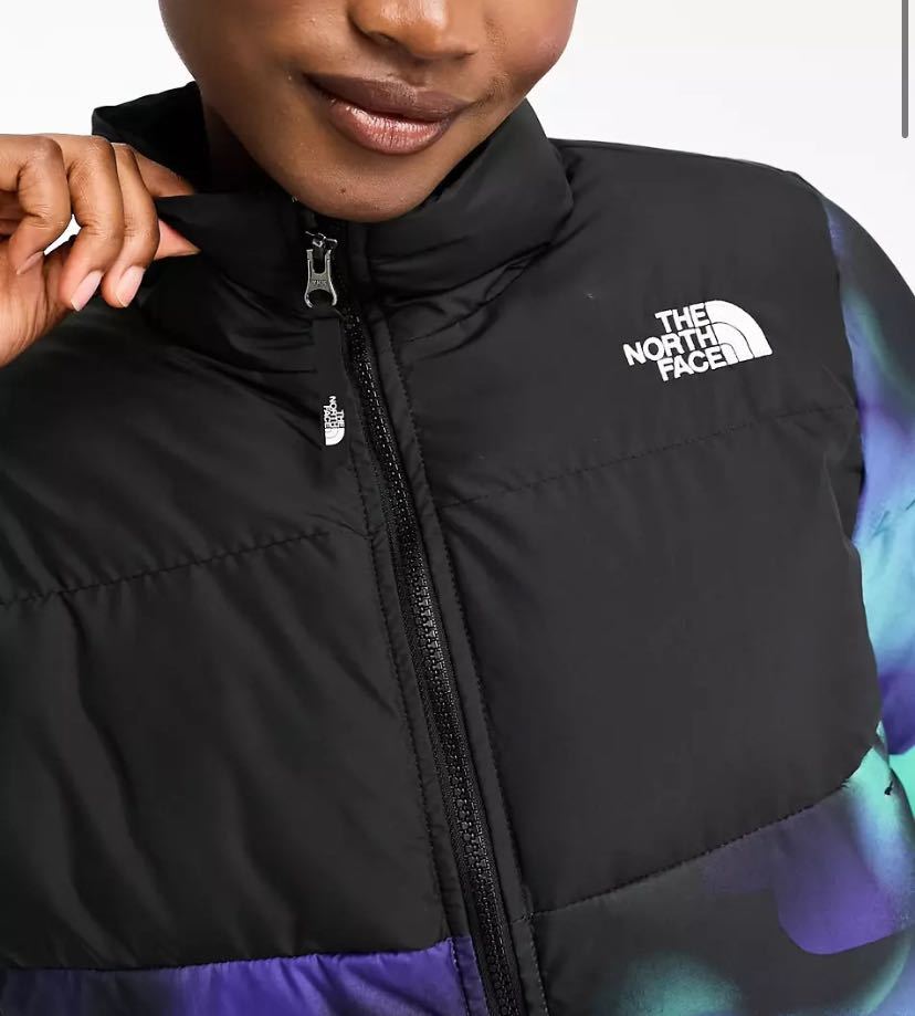 The North Face Jacket ジャケット 海外限定 ノースフェイス