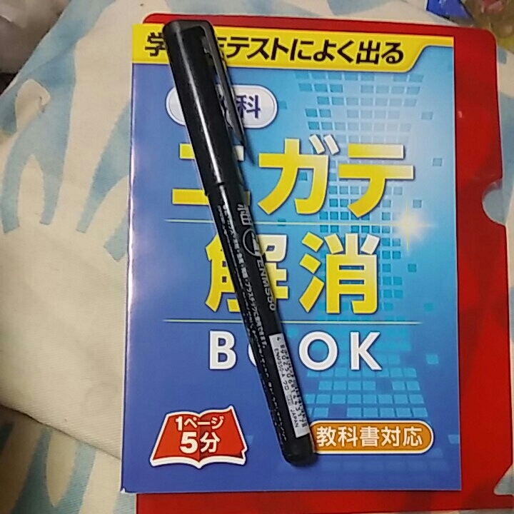 【3】中古●中学進研ゼミ●解消BOOK 「05」_画像4