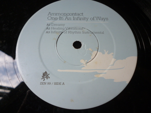 AmmonContact / One In An Infinity Of Ways 2枚組 LP アブストラクト FUTURE JAZZ / HIPHOP 試聴_画像4