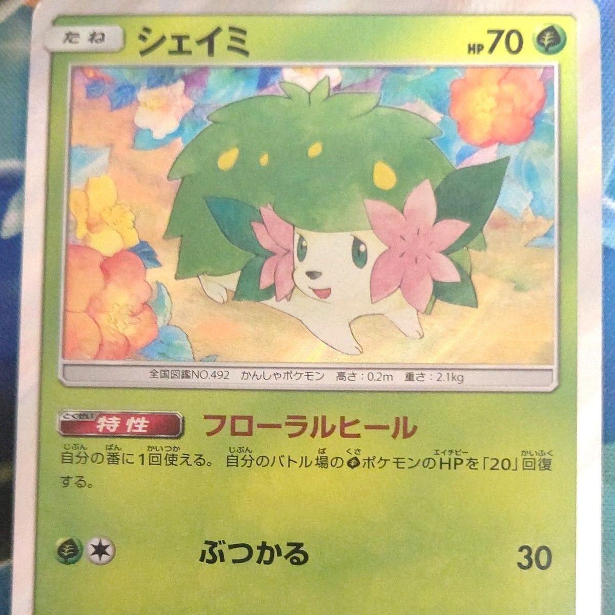 シェイミ | ポケモンカードゲーム公式ホームページ