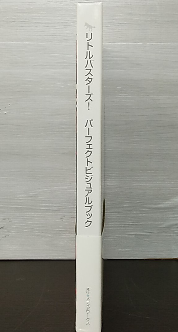 ◆◇中古品　リトルバスターズ！　パーフェクトビジュアルブック　下敷き2枚入り　AA153-1◇◆_画像3