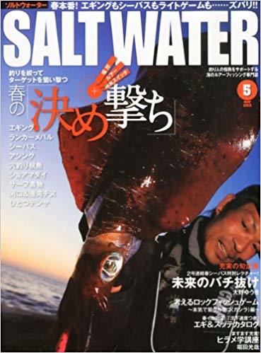 SALT WATER (ソルトウォーター) 2013年 05月号　　_画像1