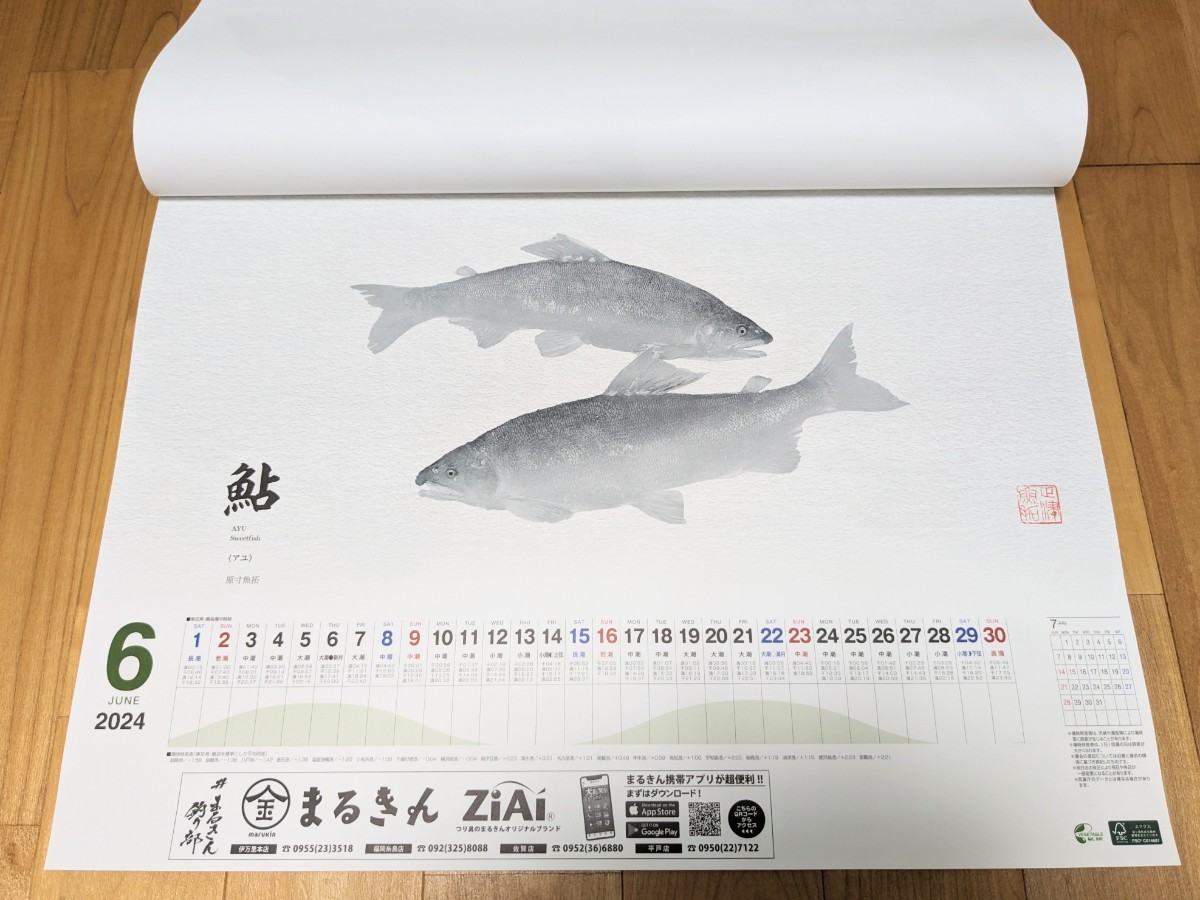 SHIMANO シマノ 魚拓カレンダー カレンダー 2024年 印刷物 _画像8