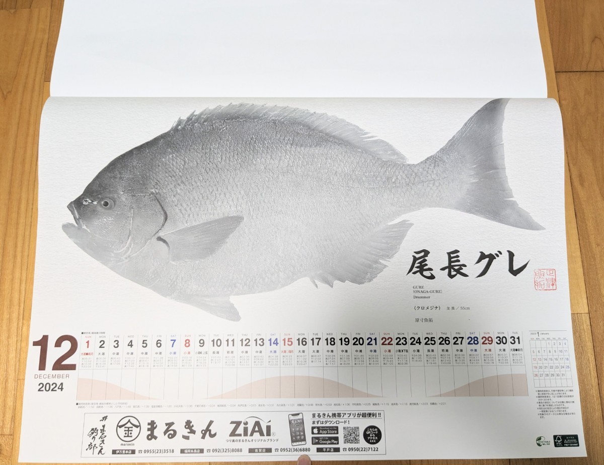 SHIMANO シマノ 魚拓カレンダー カレンダー 2024年 印刷物 _画像9