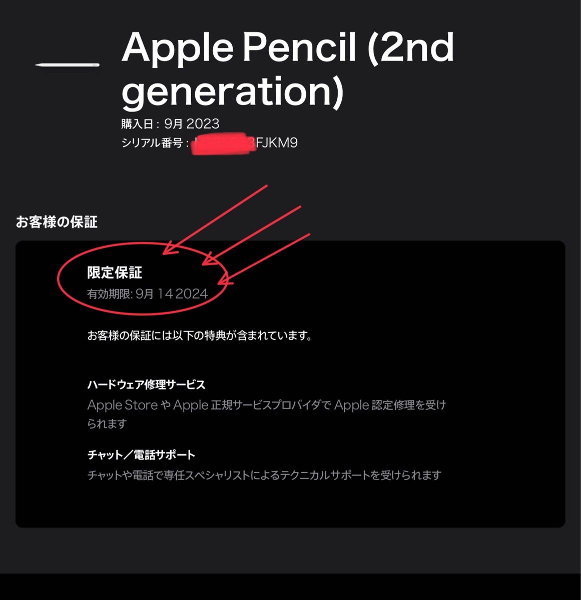 未開封★保証付き 未使用 純正 Apple Pencil 2 アップル ペンシル 第2世代 MU8F2J/A  A2051__M