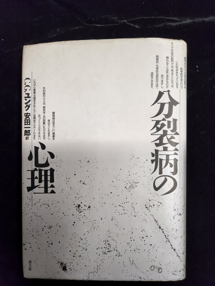 本「分裂病の心理」／Ｃ・Ｃユング著／安田一郎訳_画像1