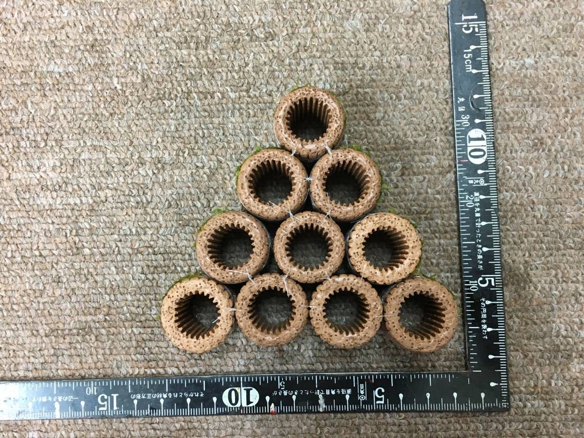 *0BIG filter media 10 piece house ja Ian to South America Willow Moss attaching 