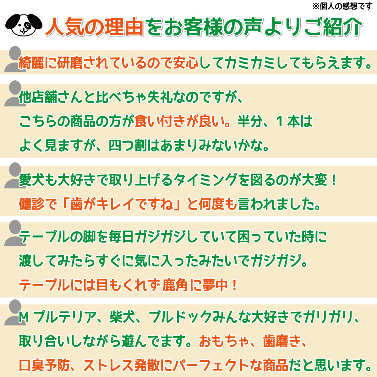 ■ 小型犬用 ■ 5本セット ■ 天然 無添加 北海道産 蝦夷鹿の角 ■ 犬のおもちゃ ■ 鹿角 エゾシカ ツノ 鹿の角 犬 11512_画像3