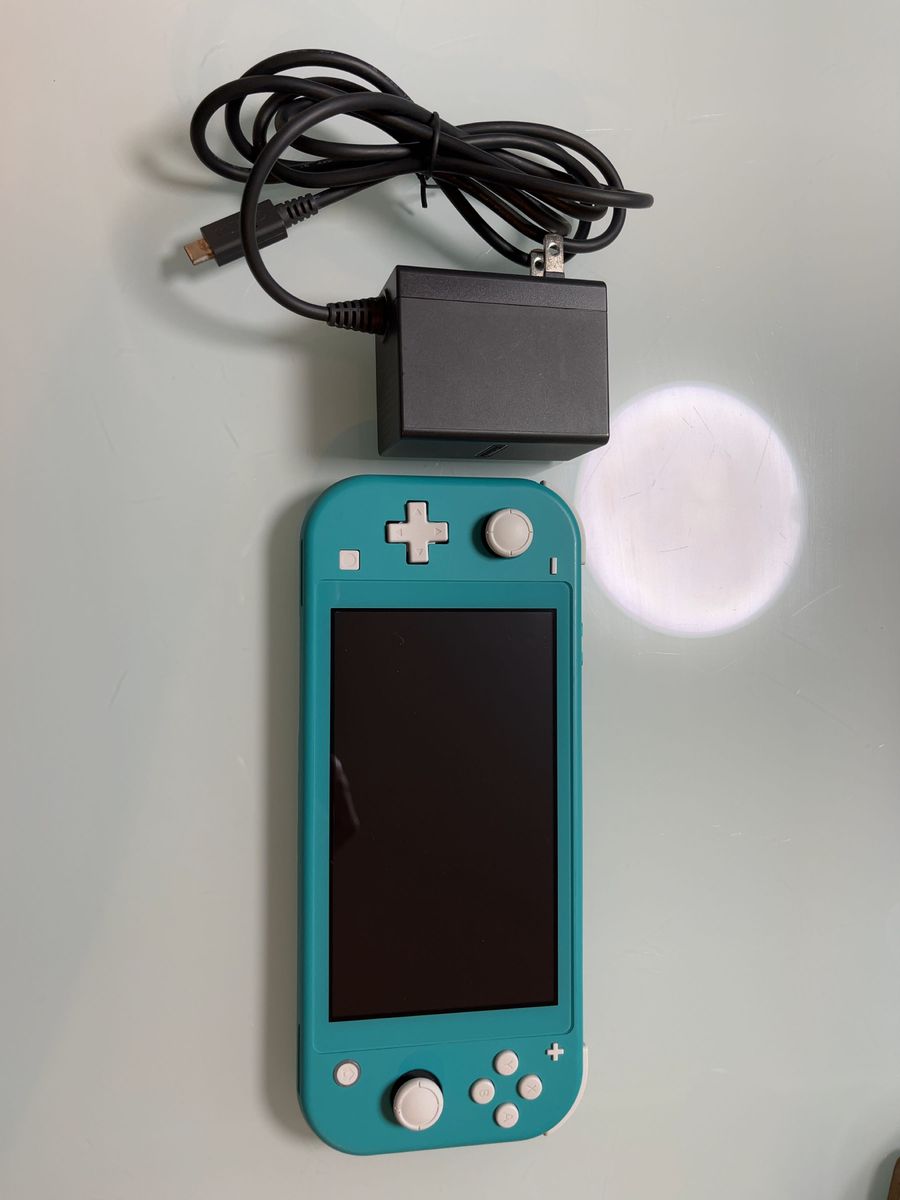 任天堂Switch Lite ターコイズ　動作確認済み　充電器有り　箱無し Nintendo