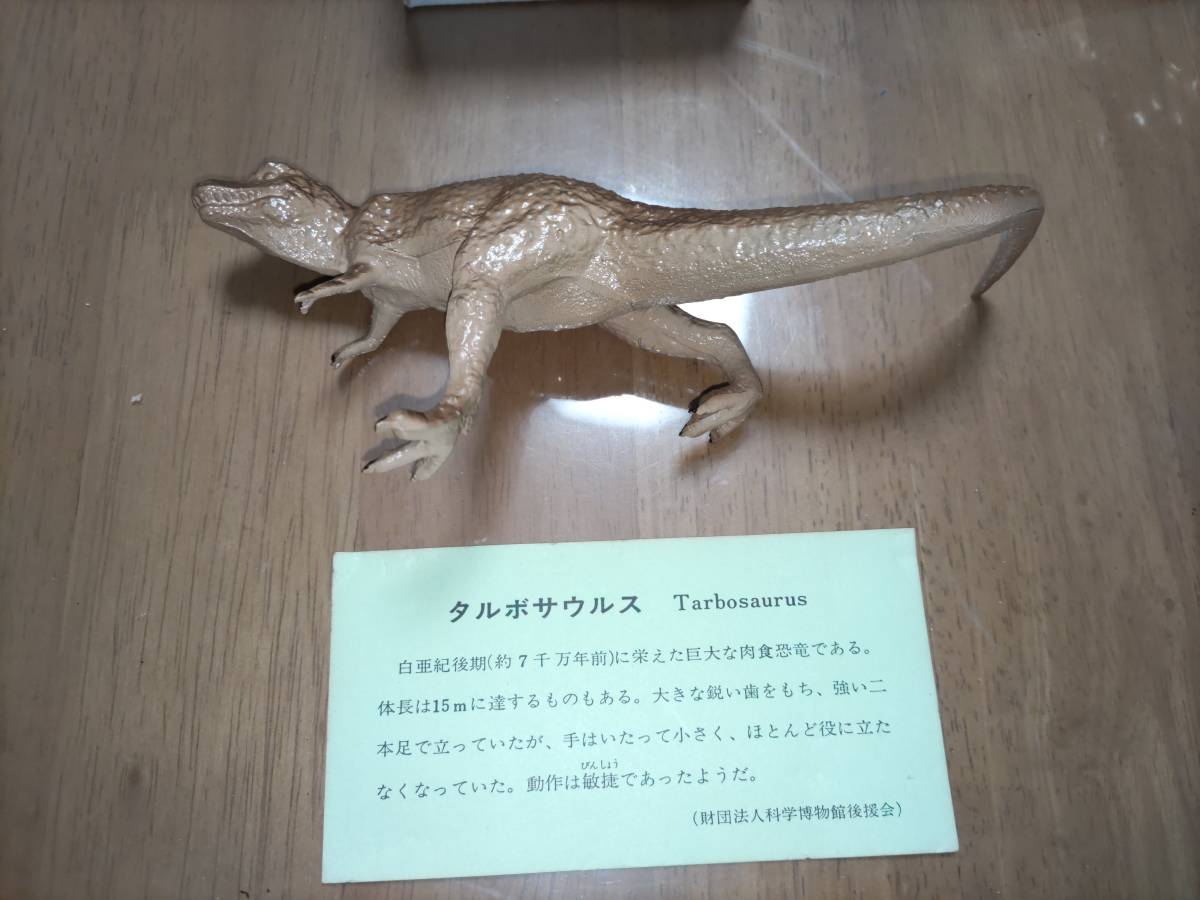 国立科学博物館 トリケラトプス タルポサウルス　フィギュア　２体セット_画像4