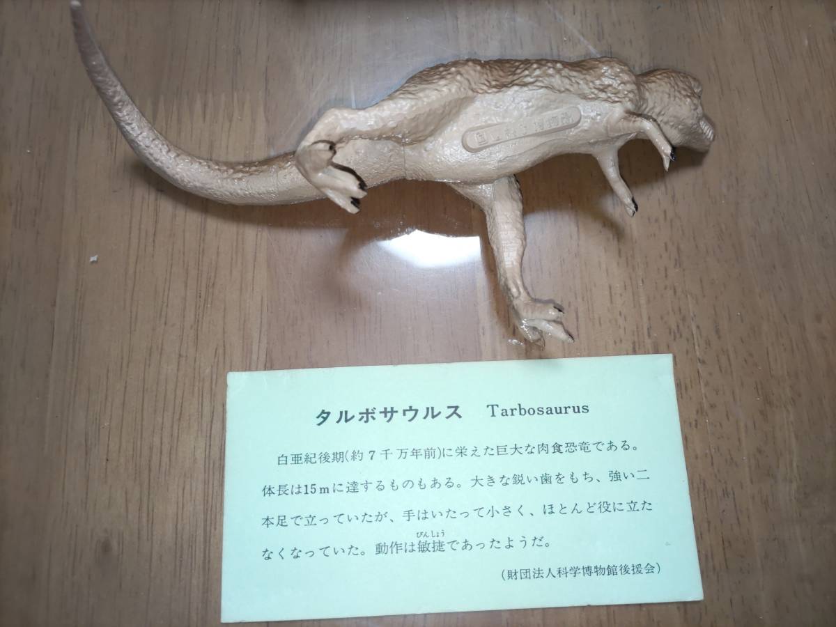 国立科学博物館 トリケラトプス タルポサウルス　フィギュア　２体セット_画像5