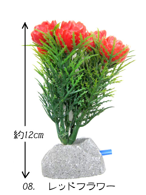 uchida высокий цветок sis Turn красный цветок растения ( красный цветок имеется bkbk) 08[ нестандартная пересылка 220 иен соответствует ]