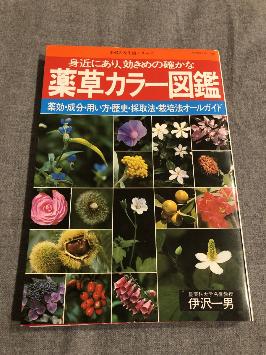 身近にあり、効きめの確かな 薬草カラー図鑑　伊沢一男（著）_画像1