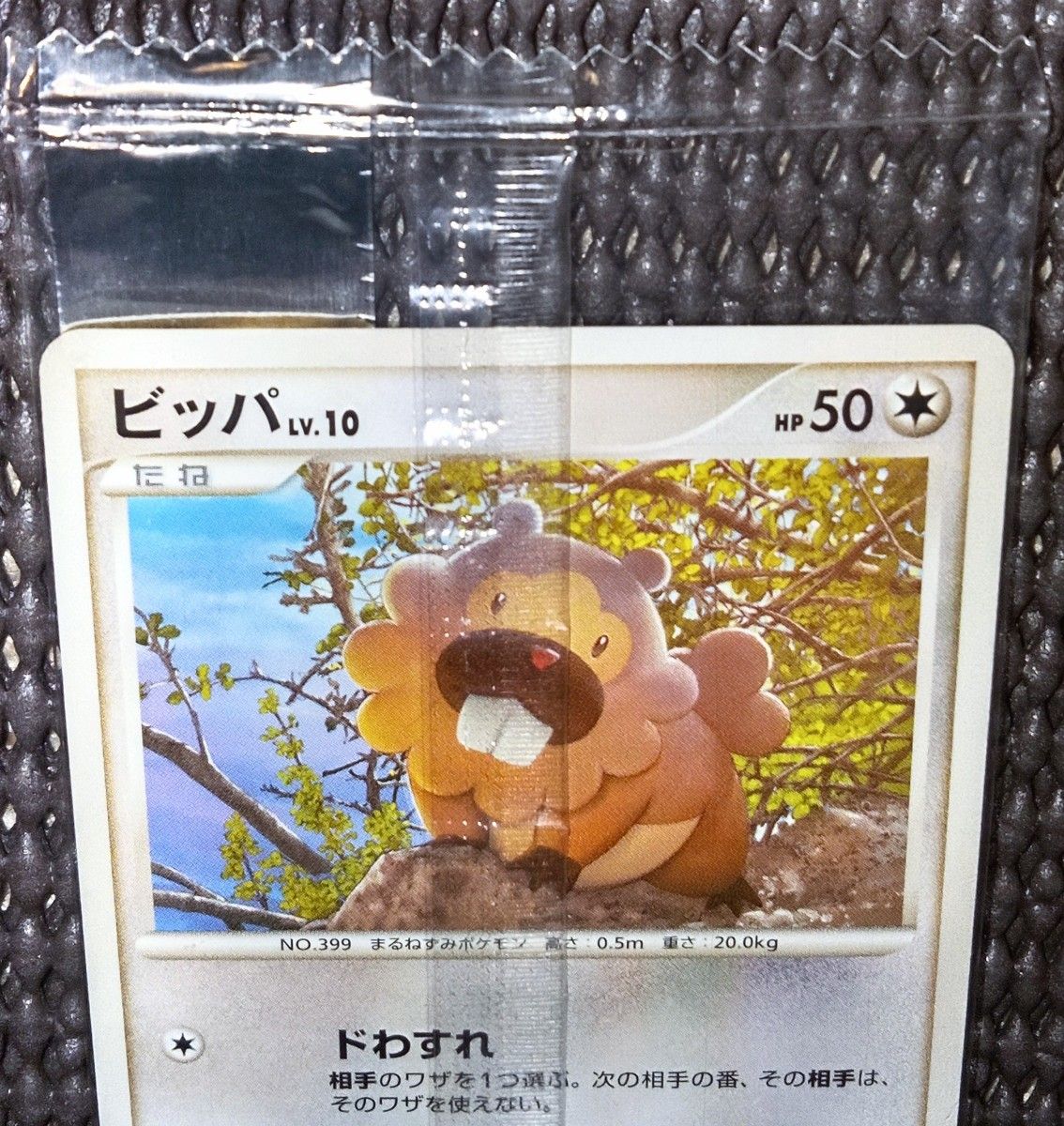 ポケモンカード 明治 ビッパ プロモ 未開封