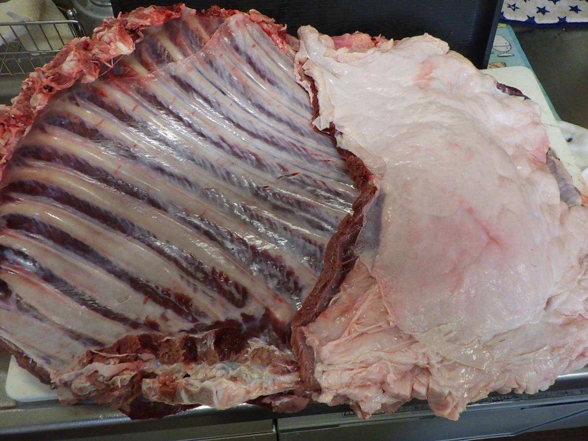 ★訳ありの狩猟で捕獲した猪(オス推定4～５歳)アバラ肉骨付き生肉(スペアリブ)5.9kgです_画像5