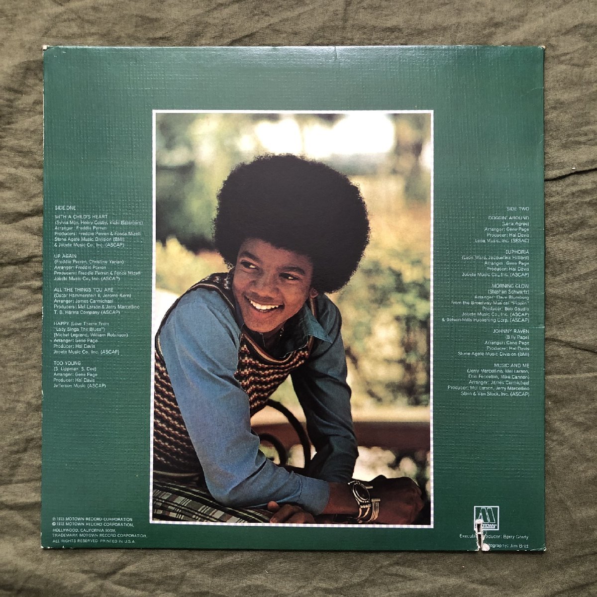 美盤 激レア 1973年 米国 本国オリジナルリリース盤 マイケル・ジャクソン Michael Jackson LPレコード Music & Me_画像2