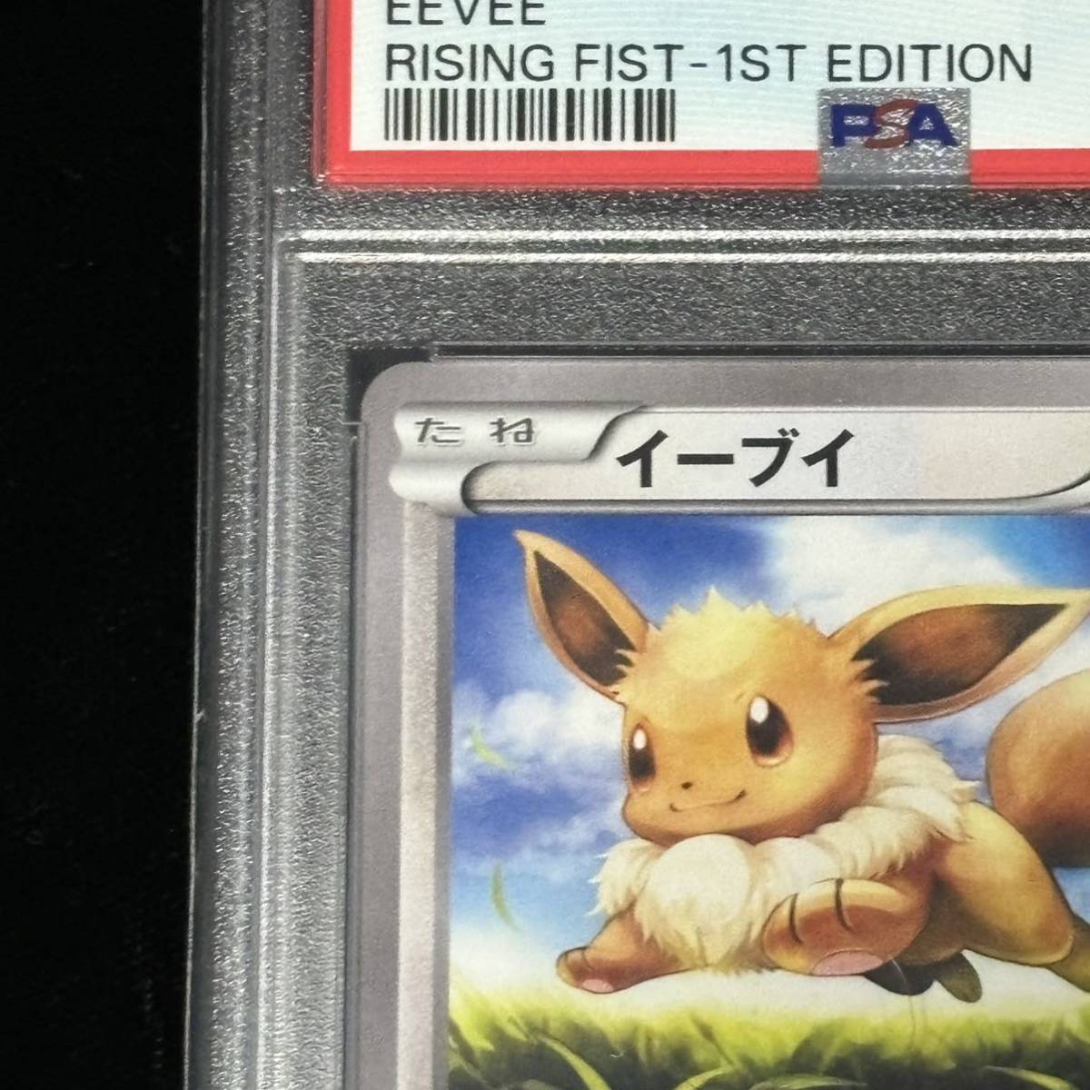 PSA10 ポケモンカード ライジングフィスト イーブイ 鑑定品 XY RISING FIST 075 EEVEE 1ST EDITION_画像2