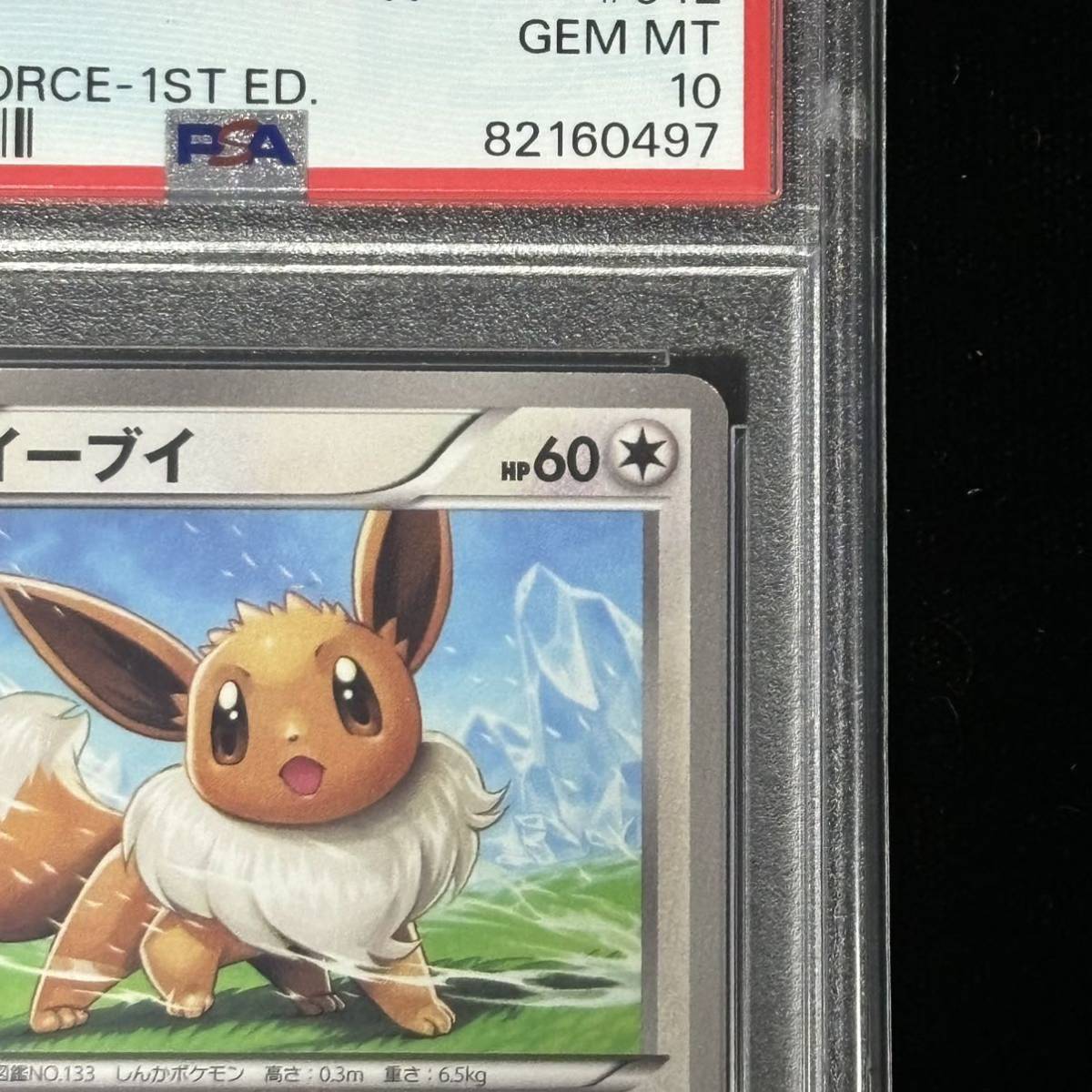 PSA 10 ポケモンカード ラセンフォース イーブイ 鑑定品 BLACK & WHITE SPIRAL FORCE 042 EEVEE 1ST EDITION_画像3