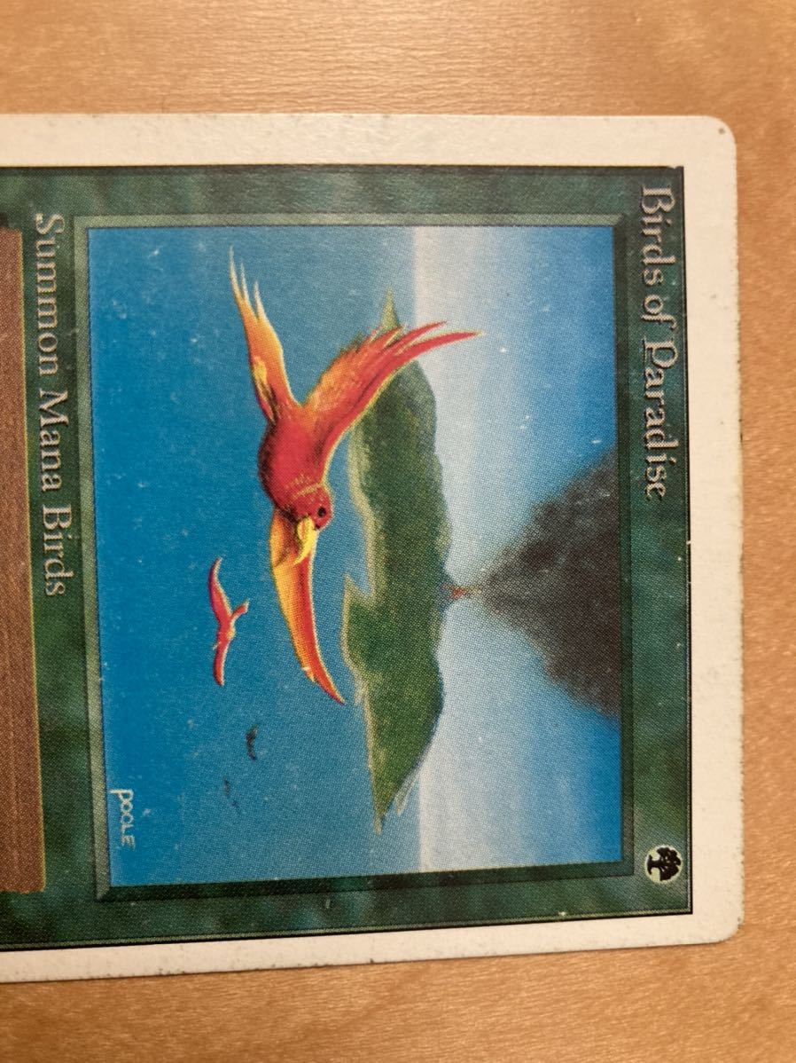 UN 2ED 極楽鳥　birds of paradise 1枚　ヘビープレイド　HP old school mtg_画像2