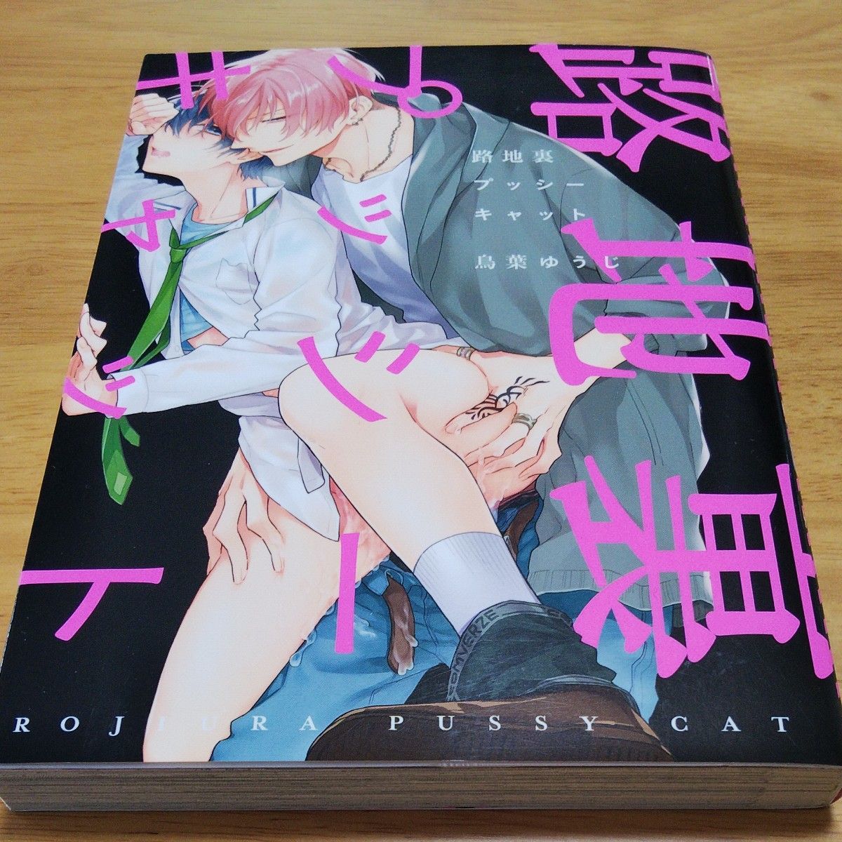  路地裏プッシーキャット/鳥葉ゆうじ 、悪いコだけど愛してよ/天河藍 2冊セット