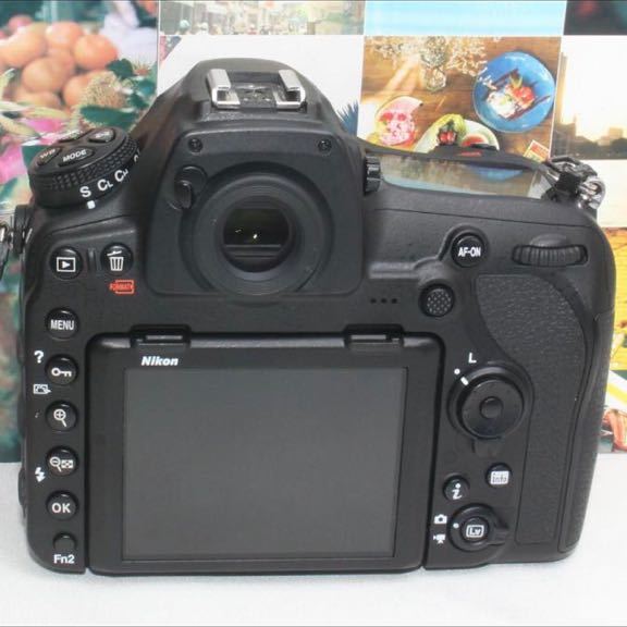 予備バッテリー&カメラバッグ付ニコン D850 超望遠 ダブルレンズ 予備バッテリー&カメラバッグ付ニコン D850 超望遠 ダブルレンズ