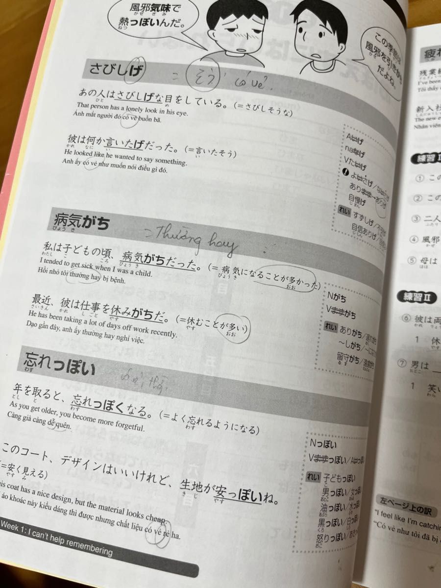 「日本語能力試験」対策 日本語総まとめ N2 文法