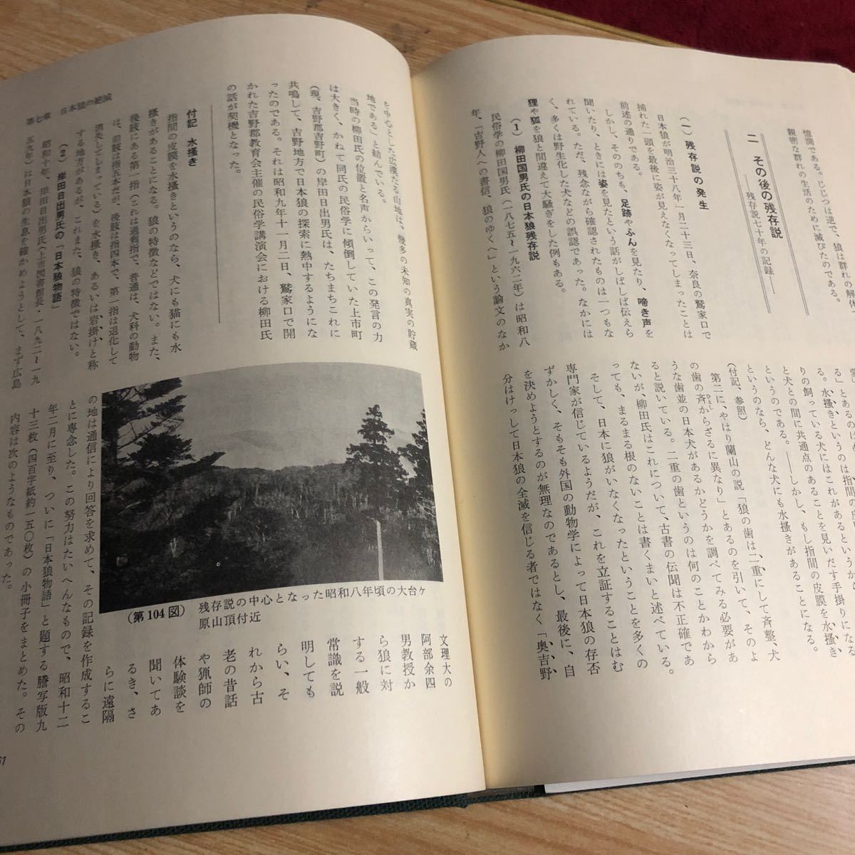 狼 その生態と歴史 平岩米吉 日本狼の正史 昭和５６年初版 クリックポスト発送の画像8
