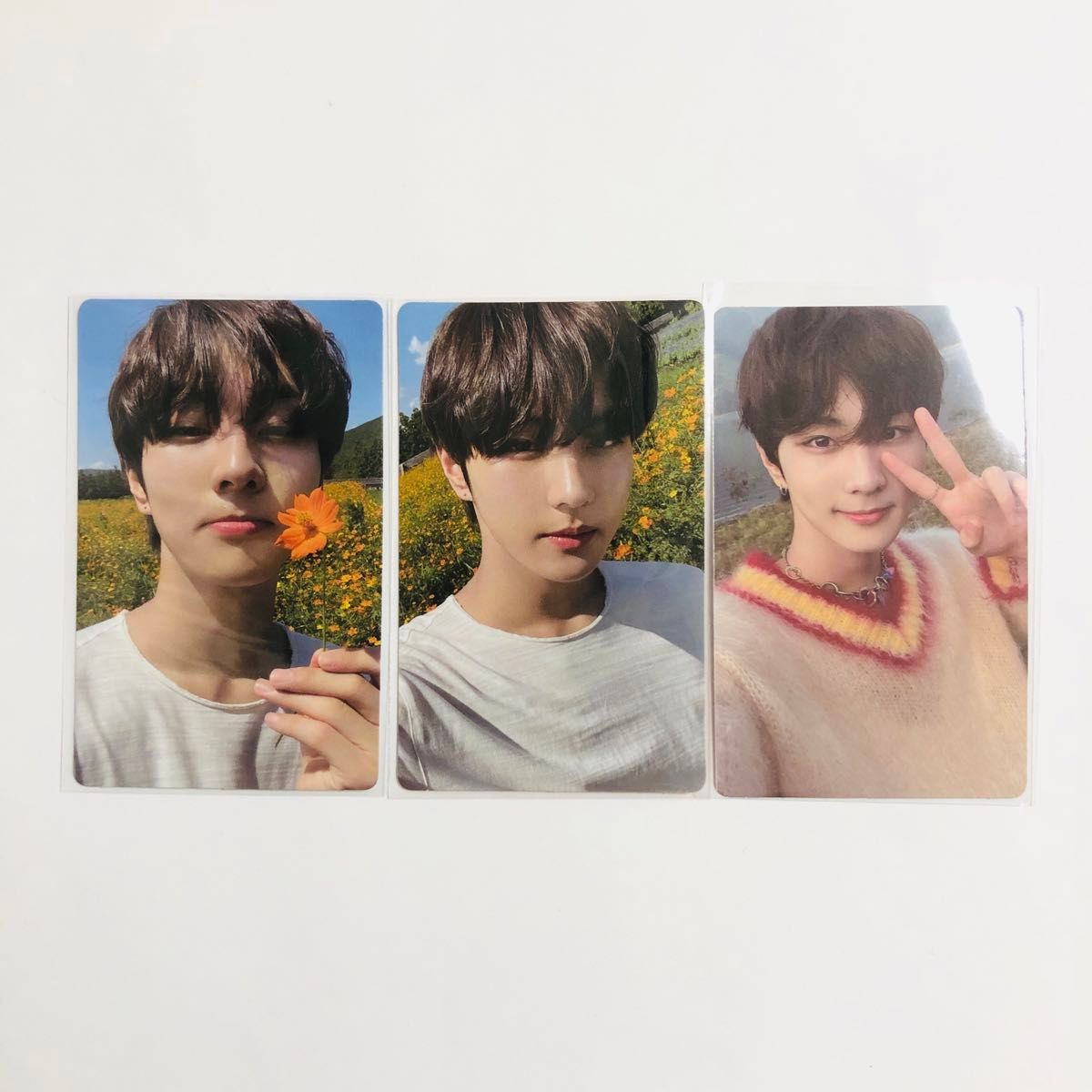 ENHYPEN ORANGE BLOOD Weverse Albums ver. weverse盤　トレカ　ジョンウォン　コンプ