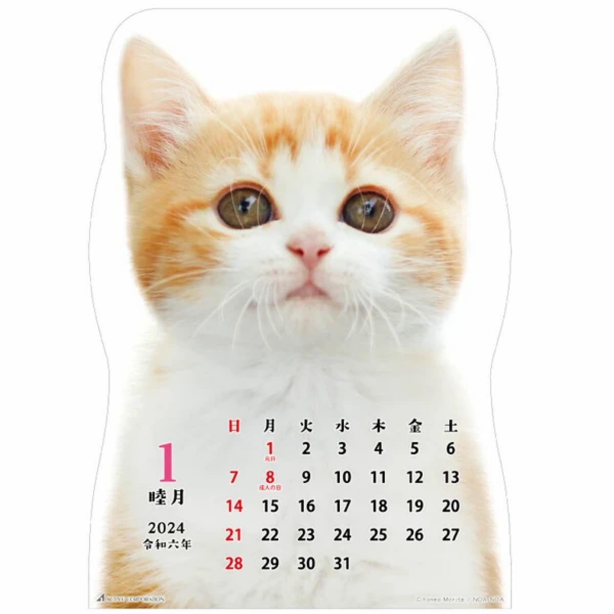 ２０２４年１月始まりカレンダー　壁掛け　猫です　ＡＣＬ－６７