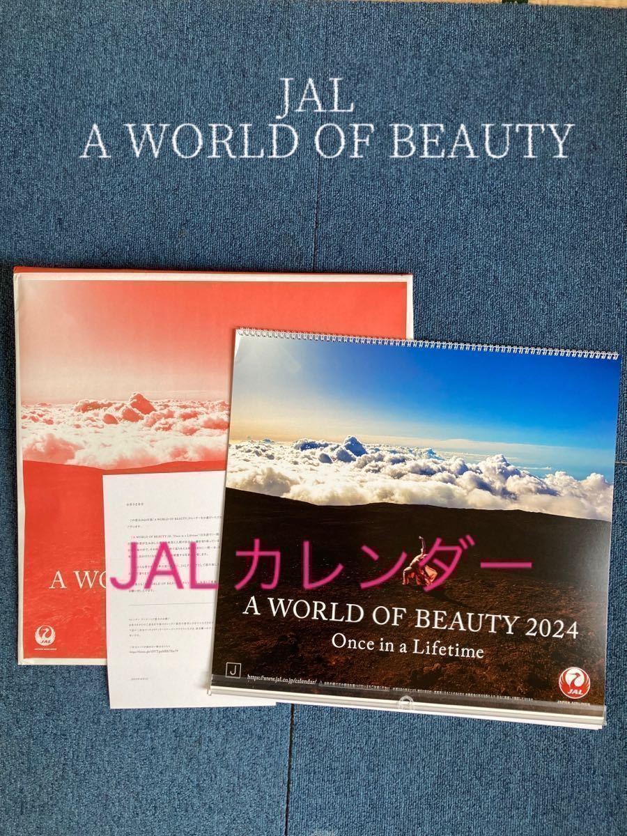 企業名あり【新品】JAL 2024　壁掛けカレンダー　通常版　 A WORLD OF BEAUTY 2024年 カレンダー 世界の美女 　ＪＡＬカレンダー_画像3