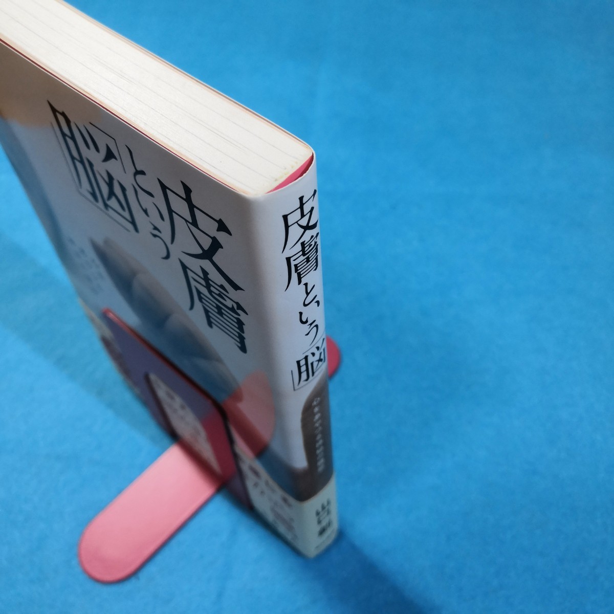 皮膚という「脳」　心をあやつる神秘の機能 山口創／著●送料無料・匿名配送_画像3