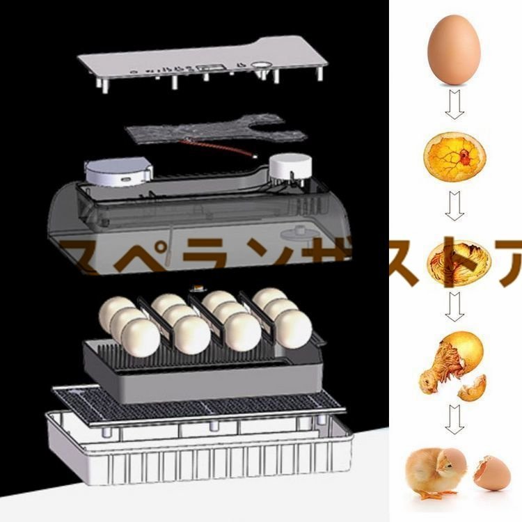 [es propeller n The store ] automatic . egg vessel in kyu Beta - birds exclusive use . egg vessel chicken uzla... duck automatic rotation egg .. vessel 24 piece insertion egg hi width birth high capacity self 