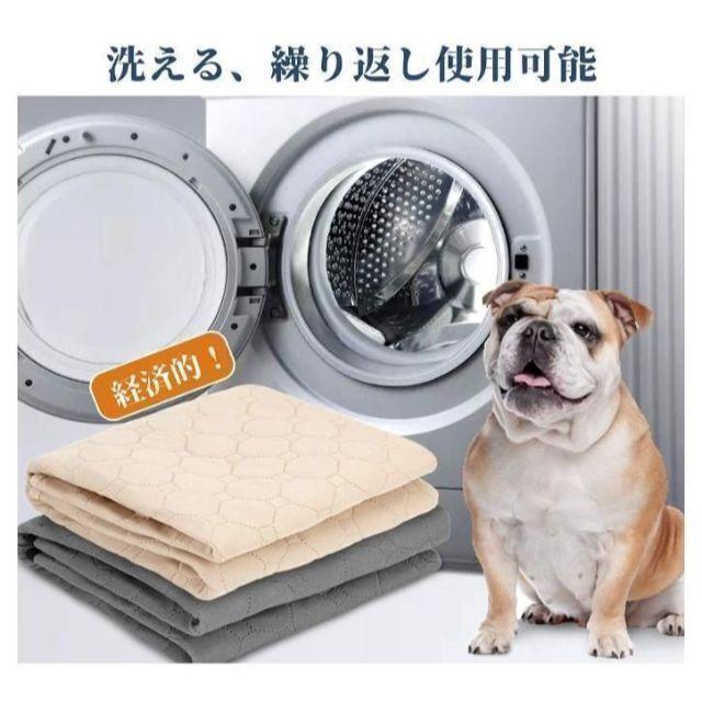  for pets . water mat M size gray 2 sheets pet mat toilet seat 