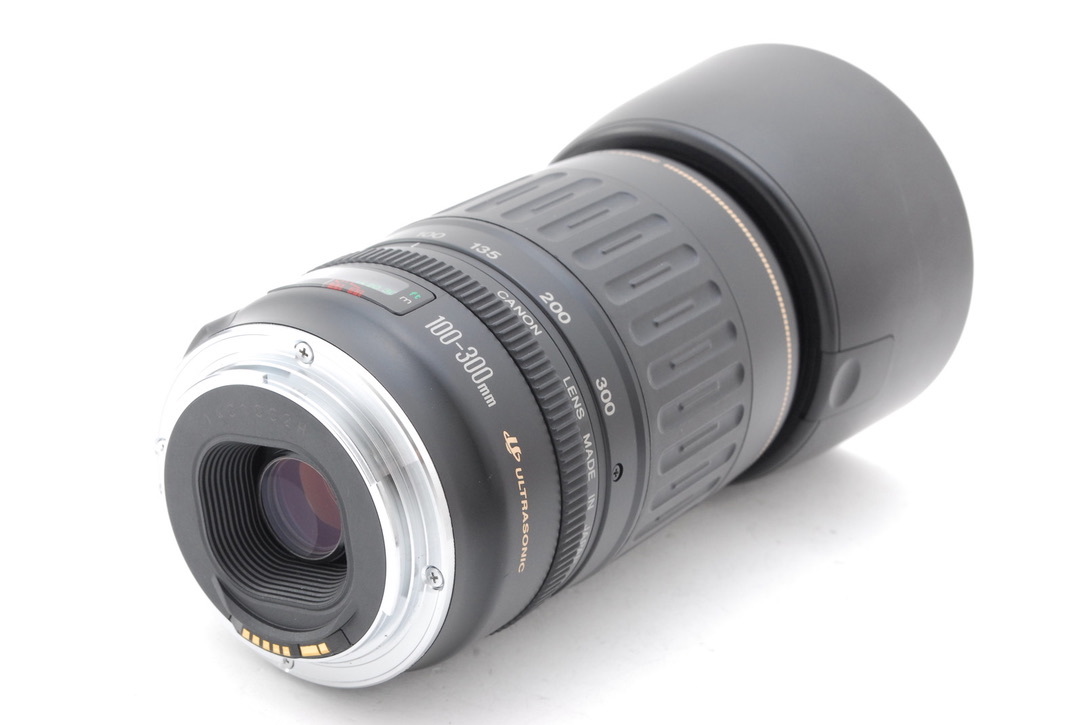 Canon キヤノン EF 100-300mm F4.5-5.6 USM_画像5
