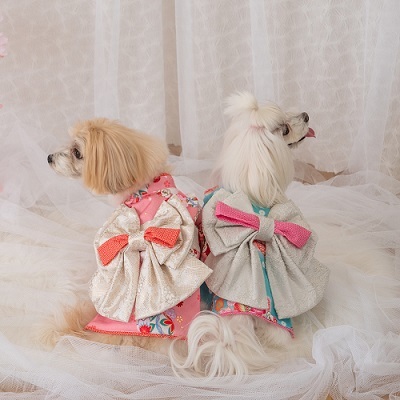  новый товар * домашнее животное одежда *CRAZYBOO*. рисунок кимоно * голубой *M размер * туловище вокруг 38~40cm* собака одежда 